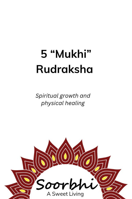 Rudraksha - 5 Mukhi